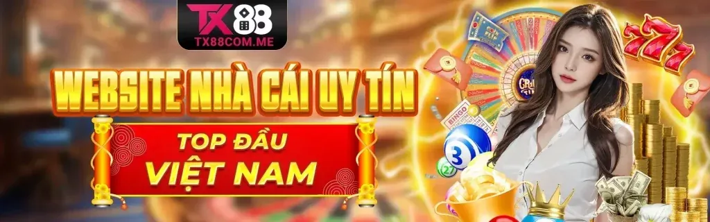 Lịch sử phát triển 77 king